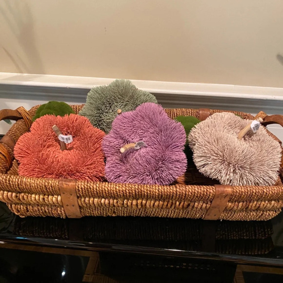 NWT ANTHROPOLOGIE TERRAIN Beige  BRUSH BOTTLE PUMPKIN - Picture 6 of 6